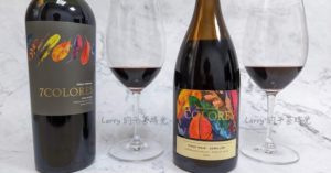 [輕鬆喝紅酒] 智利七色鳥 7 Colores，黑皮諾榭密雍 Pinot Noir Semillon，家族珍藏 Reserva De Familia