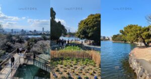 福岡, 舞鶴公園, 大濠公園
