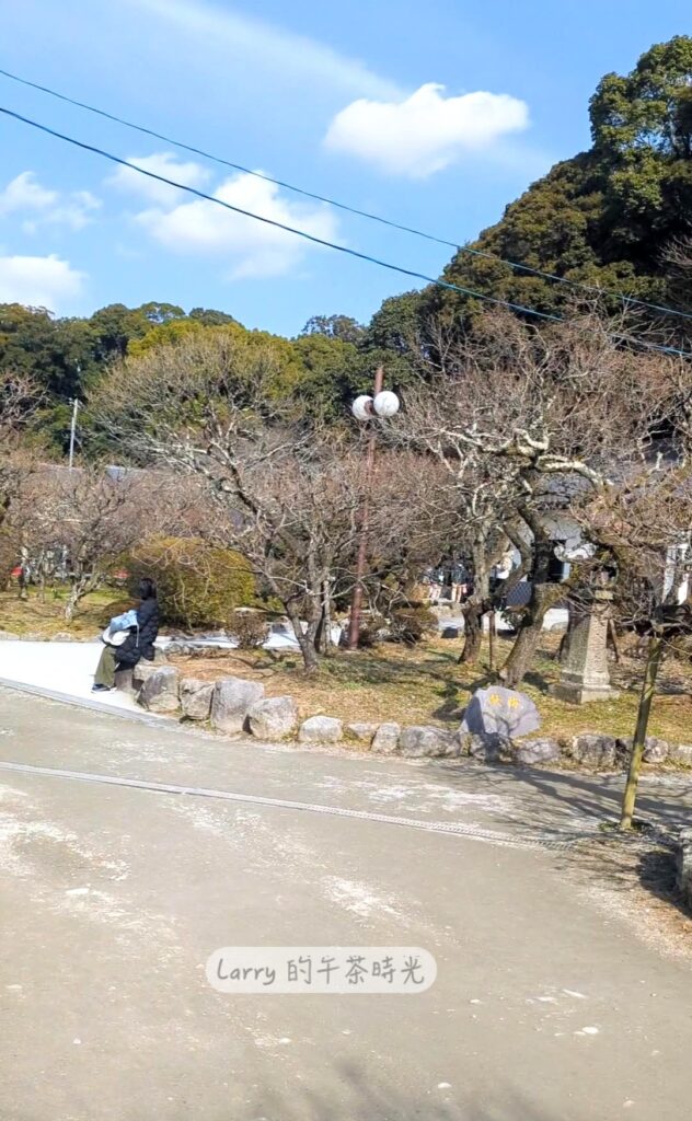 福岡, 太宰府, 天滿宮, 梅花林