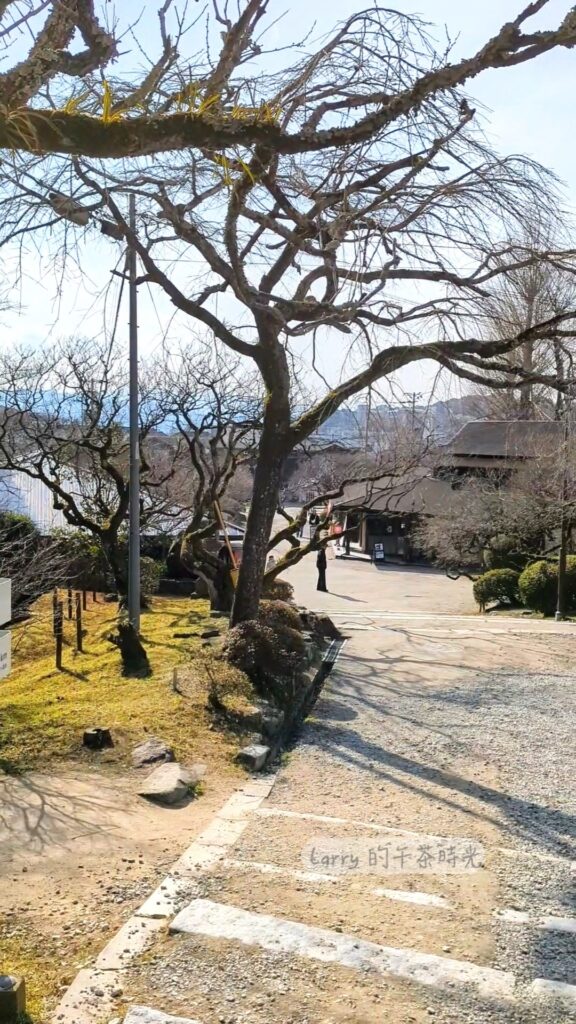 福岡, 太宰府, 天滿宮