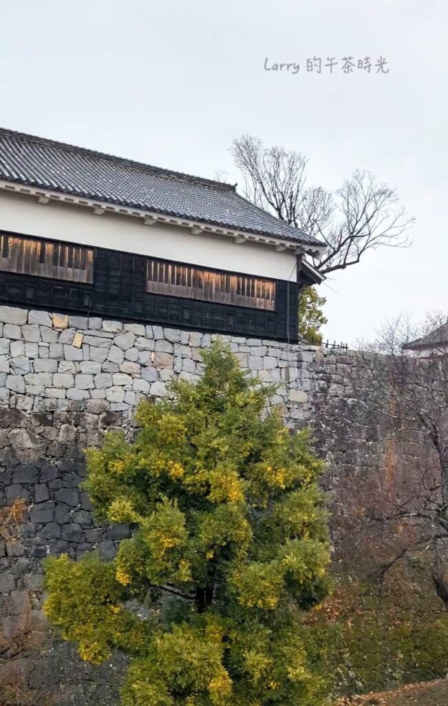 熊本城入園路線, 數寄屋丸的樓房