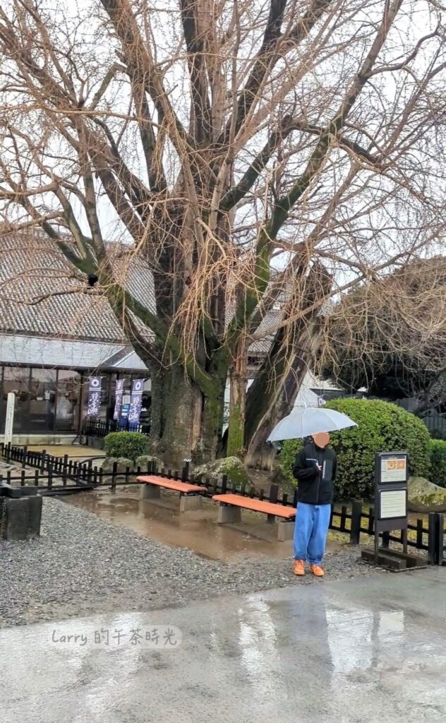 熊本城天守閣廣場南側的本丸御殿