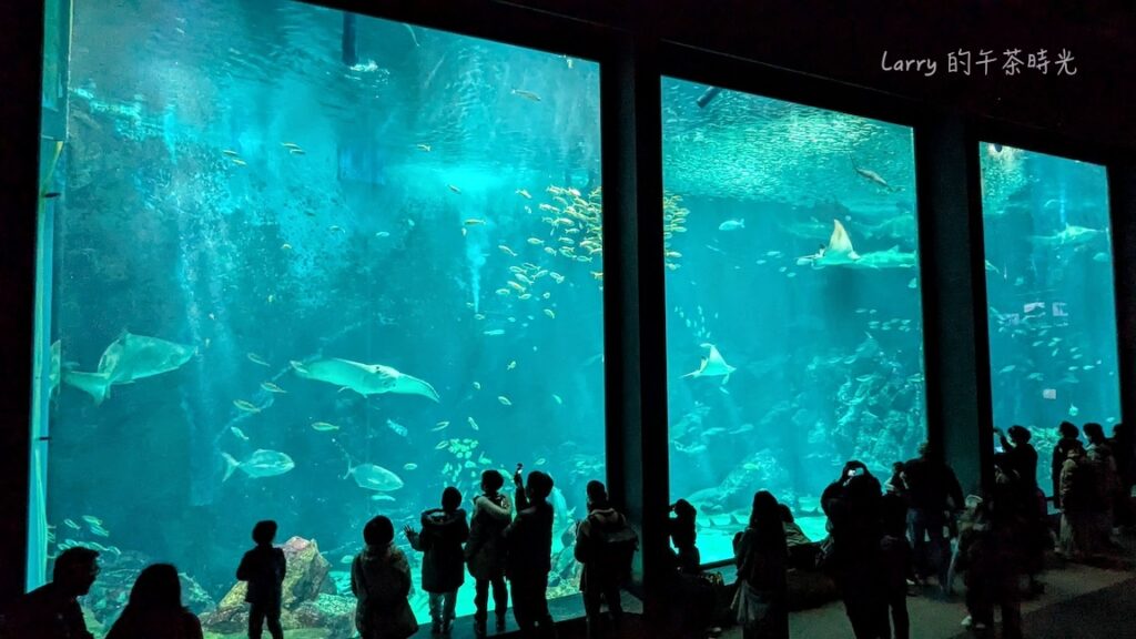 福岡 海洋世界的「九州遠洋」區域:遠洋大水槽