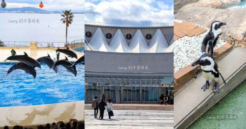 [日本福岡] 海洋世界海之中道，九州超大型水族館，交通方式、票價，樓層介紹與參觀路線