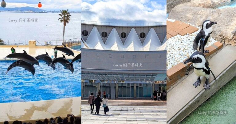 福岡 海洋世界海之中道, 我的參觀體驗